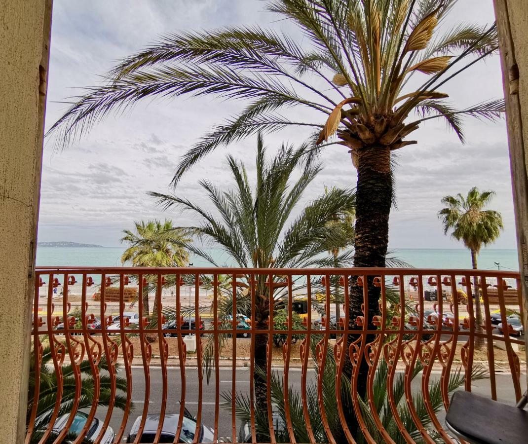 Palm Tree Promenade Nizza